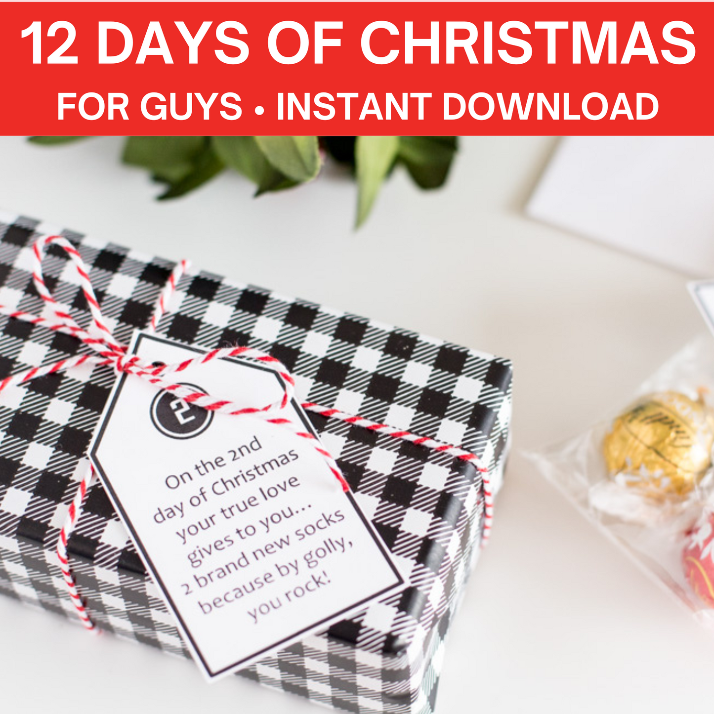 Modern 12 Days of Christmas For Your Husband/Guy (Tags & Gift List)