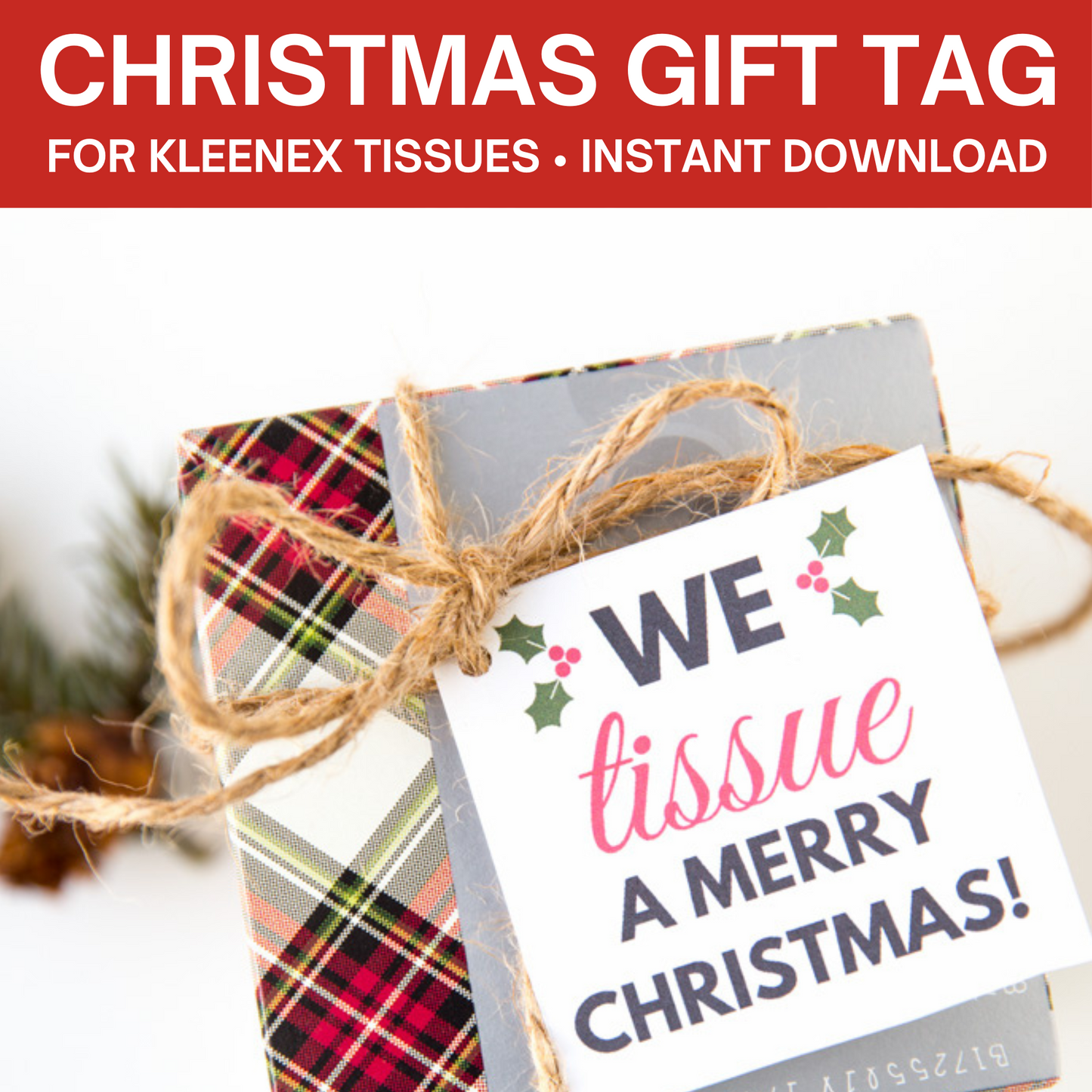 10 Neighbor Gift Tags For Christmas Bargain Bundle ($25 value)