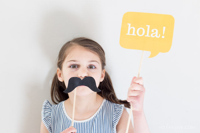 Fiesta Party Kit- Banner, Food Labels, Photo Props, Party Signs For Cinco de Mayo or Parties