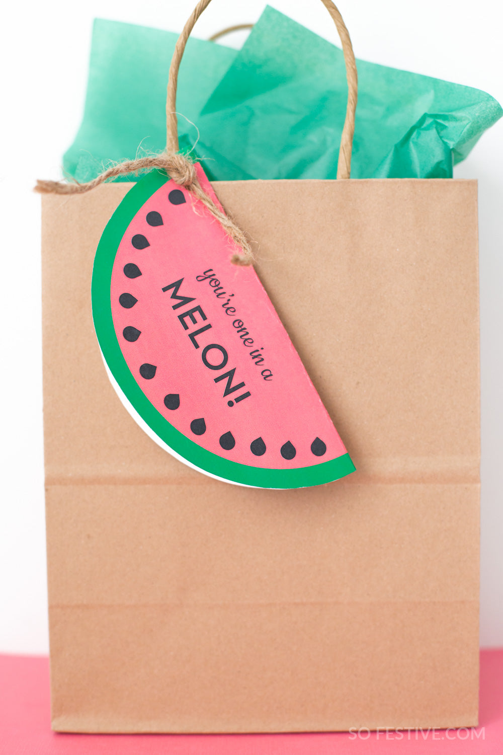 Teacher Appreciation Gift Bargain Bundle (6 Tag Options)