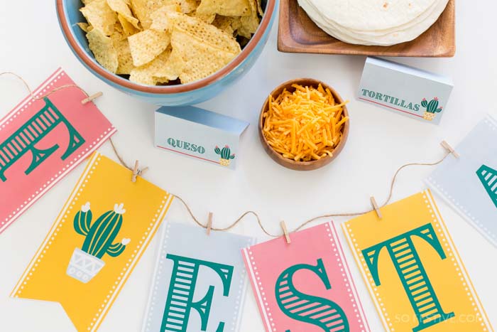 Fiesta Party Kit- Banner, Food Labels, Photo Props, Party Signs For Cinco de Mayo or Parties